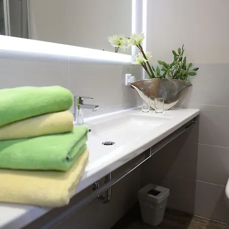 Hotel Wasmayr Hof 3*