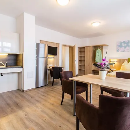 ホテル Wasmayr Hof 3*