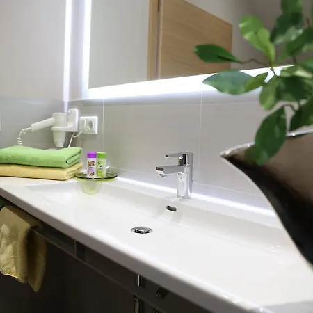 ホテル Wasmayr Hof 3*